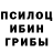 Галлюциногенные грибы мицелий Vladyslava Shutenko