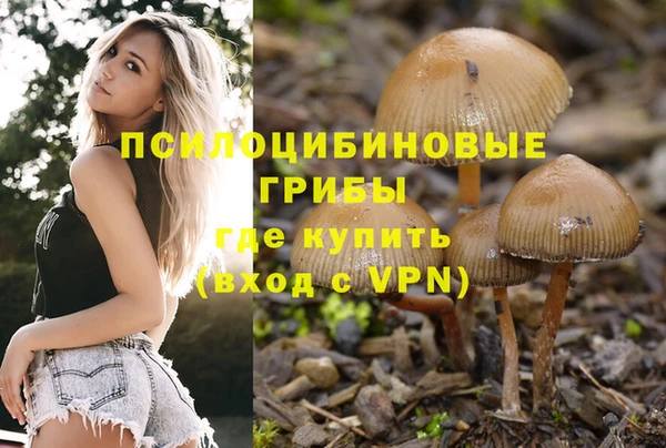 шишки Алексеевка