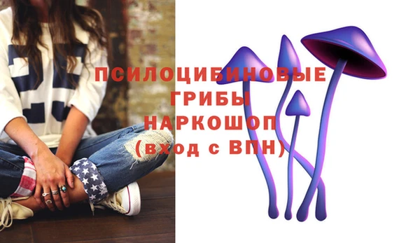 шишки Алексеевка