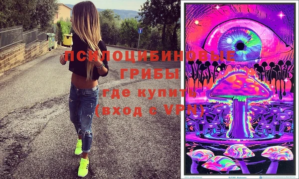 мяу мяу мука Алексин