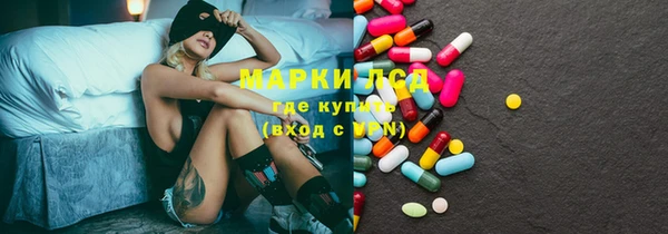 прущие грибы Алзамай